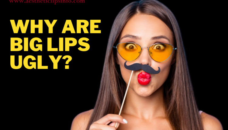 Why Are Big Lips Ugly? | 2024 AestheticLips